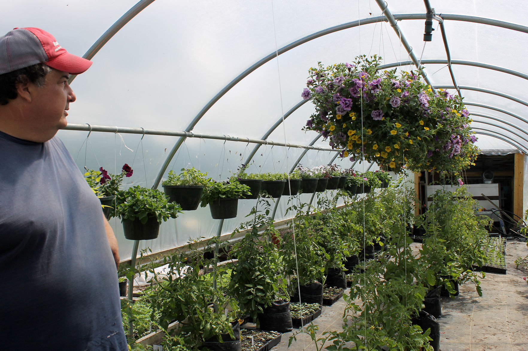 David Ybarra built a high tunnel to extend the growing season on his farm